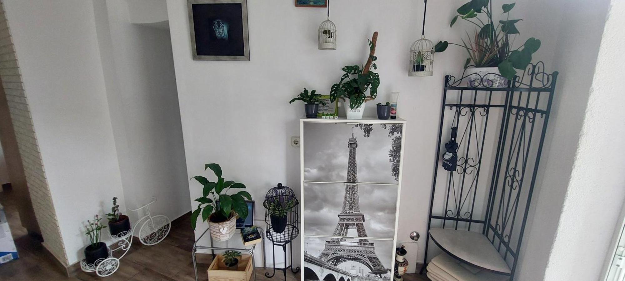 Old Town Sole Apartment Split Ngoại thất bức ảnh